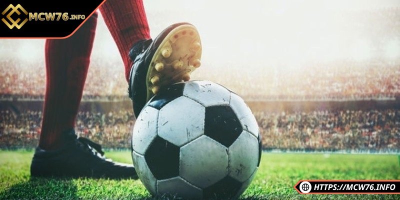 Kèo chấp nửa trái được nhiều người lựa chọn