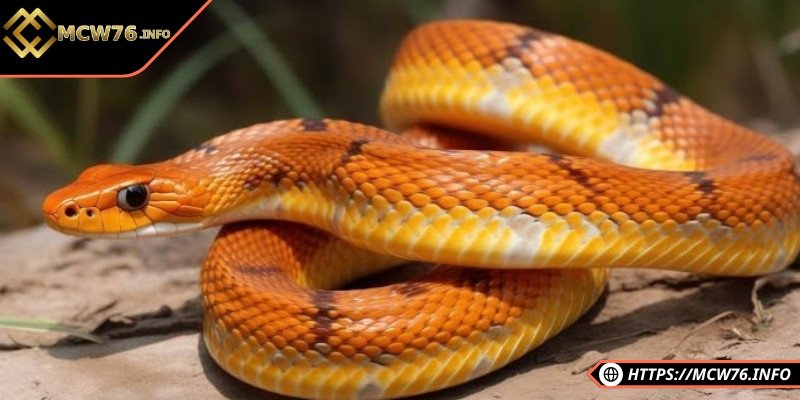 Những trường hợp hiếm gặp khi mơ thấy rắn cắn